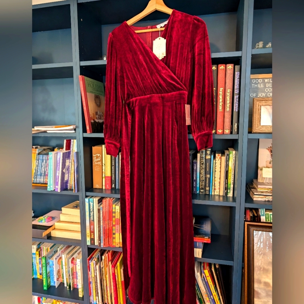 Ivy City Co ❤️ Andie Dress